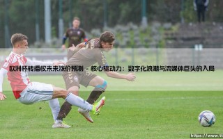 欧洲杯转播权未来涨价预测：一场没有硝烟的资本博弈