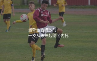 荷兰队夺得欧洲杯冠军时的球员阵容：当郁金香绽放时