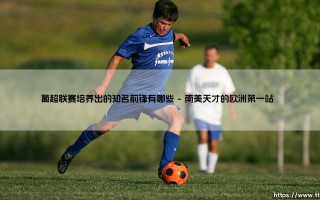 葡超联赛培养出的知名前锋有哪些？揭秘绿茵场上的造星工厂