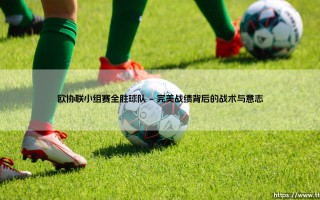 欧协联小组赛全胜球队：绿茵场上的完美征途