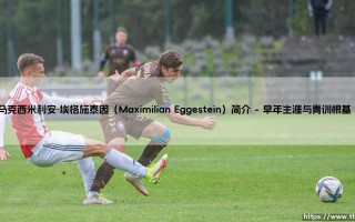 马克西米利安·埃格施泰因（Maximilian Eggestein）简介完整指南