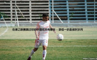 在德乙联赛踢过球的中国球员有哪些教程