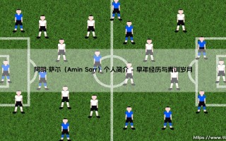 阿明·萨尔个人简介