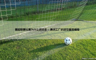 葡超联赛比赛为什么进球多：攻势足球的狂欢与战术密码