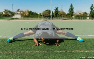 哈卡芬兰欧协联与北欧风格的绿茵交响