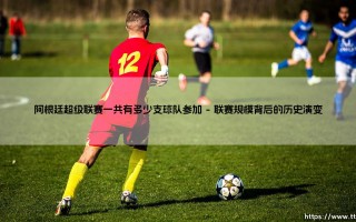 阿根廷超级联赛的参赛球队规模究竟有多大？
