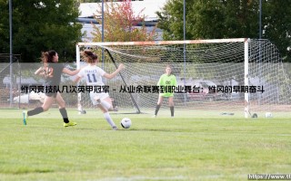 维冈竞技队几次英甲冠军？这支老牌劲旅的荣耀之路与挑战历程