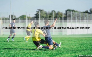 在瑞超联赛效力过的知名法国球星都有哪些？探寻那些闪耀北欧的法兰西足迹