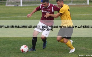 北雪平队曾经培养出过哪些知名球员？- 这些「北欧球星摇篮」走出的闪耀巨星，你认识几个？