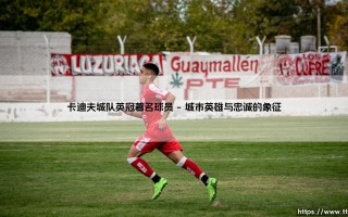 卡迪夫城队英冠著名球员：蓝鸟的传奇与骄傲