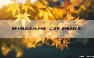 意甲从未降级的球队有哪些？盘点那些意甲历史上从未降级的传奇俱乐部