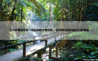 五大联赛排名第几有欧协联正赛资格？一文读懂欧战席位分配规则「五大联赛欧协联资格解析」