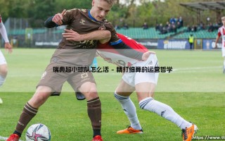 瑞典超小球队怎么活：瑞典超小球队生存之道