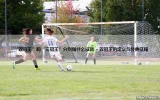 双冠王与三冠王：绿茵场上的至高荣耀