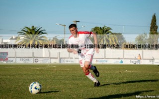 在瑞超联赛效力过的知名波兰球星都有哪些？：「瑞超」春风遇上「波兰雄鹰」——那些流浪北欧的天才火花