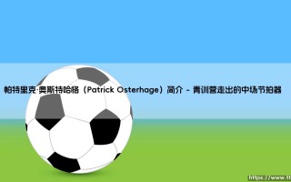 帕特里克·奥斯特哈格（Patrick Osterhage）：从德乙中场到战术分析师的跨界传奇