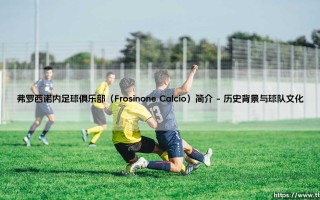 弗罗西诺内足球俱乐部（Frosinone Calcio）简介——东方体育