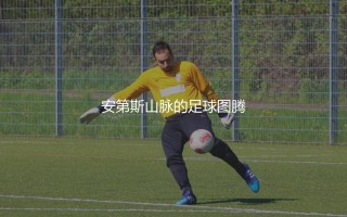 智利队知名足球明星球员有哪些？安第斯山脉的足球图腾