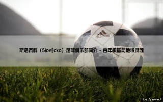 斯洛瓦科足球俱乐部简介：探秘斯洛瓦科的绿茵传奇