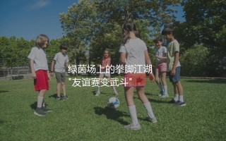 女王公园巡游者队对国足U23打架事件：绿茵场上的拳脚江湖  