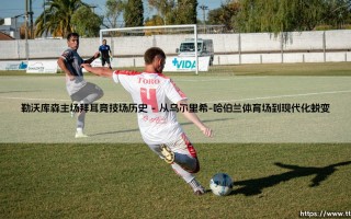 勒沃库森主场拜耳竞技场历史：一座现代球场的传奇见证