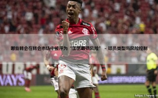 哪些转会在转会市场中被评为“工艺最低风险”——东方体育
