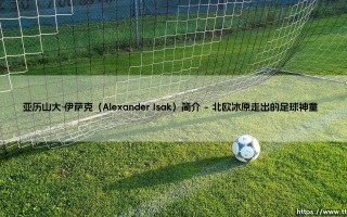 亚历山大·伊萨克：从瑞典神童到英超锋线杀手的崛起之路