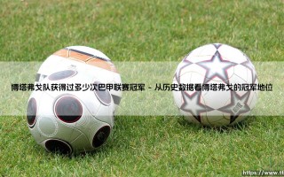 博塔弗戈队巴甲联赛冠军荣耀之路：揭秘博塔弗戈队夺冠历史