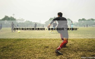 荷甲升降级附加赛决赛规则解析：一场定生死的绿茵博弈