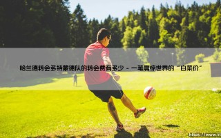 哈兰德转会多特蒙德队的转会费有多少？揭秘：震惊足坛的「超值交易」内幕