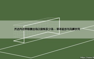 齐达内法甲联赛出场次数有多少场？
