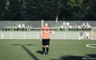 米夏埃尔·格雷戈里施（Michael Gregoritsch）简介
