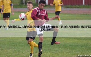 在瓦克尔布格豪森效力过的知名保加利亚球星：探寻东欧铁骑的德国足迹
