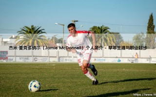 杰米·麦克多纳尔（Jamie McDonnell）个人简介：一位不屈不挠的英国拳击冠军
