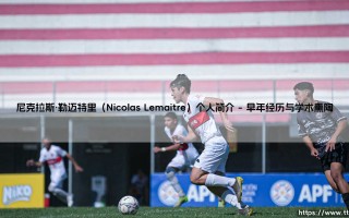 尼克拉斯·勒迈特里个人简介
