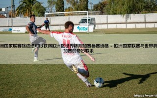 欧洲国家联赛：怎样的成绩才能获得世界杯附加赛资格？「通往世界杯的另一条路径」揭秘