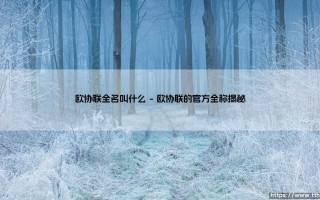 欧协联全名叫什么？带你深入了解这项新兴欧洲赛事