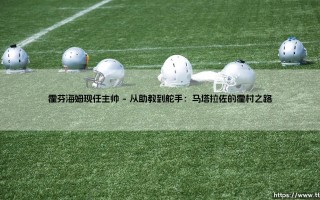 霍芬海姆现任主帅的战术哲学与执教艺术