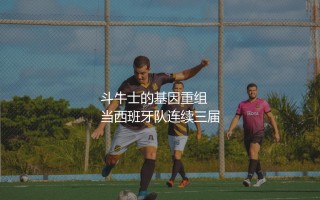 2024年欧洲杯西班牙队主力阵容：斗牛士的基因重组