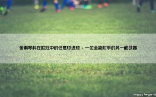 舍甫琴科在欧冠中的任意球绝技