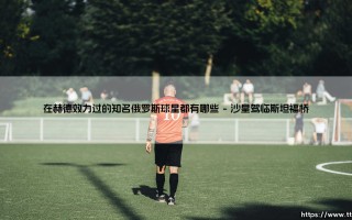 在赫德效力过的知名俄罗斯球星都有哪些？：探寻俄罗斯足球明星的英伦足迹