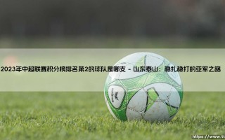 2023年中超联赛积分榜排名第2的球队是哪支？揭秘「绿茵场上的亚军之争」