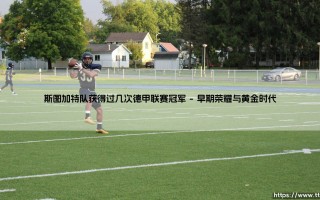 斯图加特队获得过几次德甲联赛冠军（天下足球）