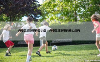 丹麦足球联赛有多少级？深入解析：带你了解「丹麦足球」的联赛体系