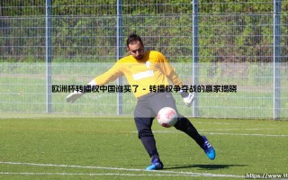 欧洲杯转播权中国谁买了_绿茵前线