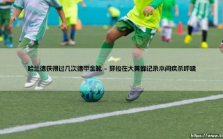 哈兰德获得过几次德甲金靴(足球全知道)