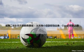 威廉二世队球衣赞助商是谁？探秘荷兰足球的忠诚伙伴
