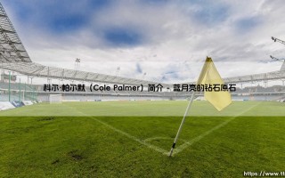 科尔·帕尔默：曼城青训营走出的英格兰天才新星