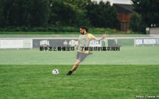 新手怎么看懂足球？从零开始理解足球的五大关键点！「足球入门完全指南」