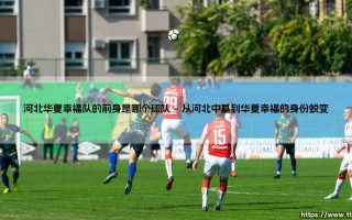 河北华夏幸福队的前身：一支球队如何折射中国足球的江湖沉浮？